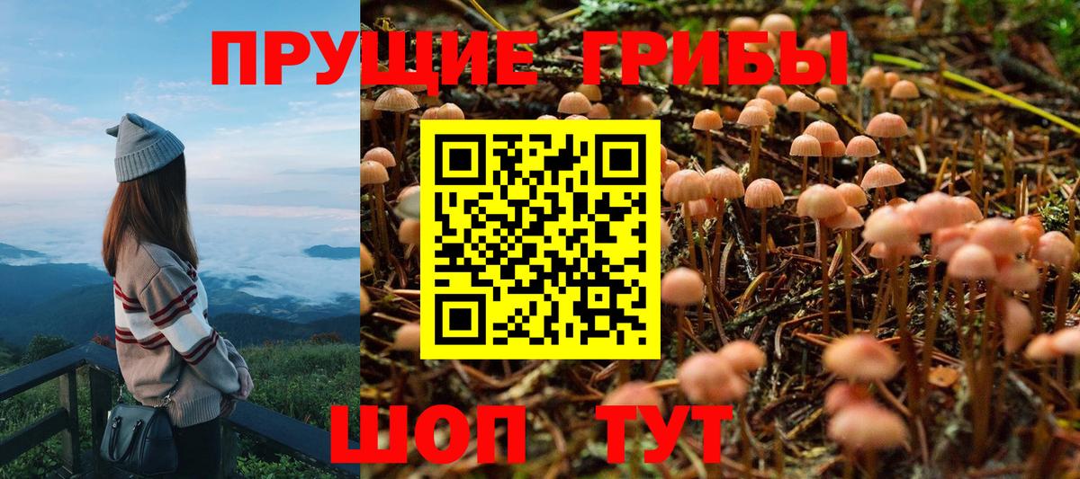 Гурьевск  Псилоцибиновые грибы Cubensis  Галлюциногенные грибы ЛСД  Вход с VPN 
