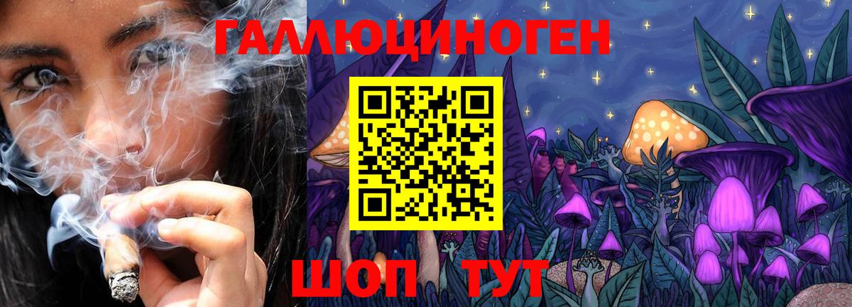 Псилоцибиновые грибы MAGIC MUSHROOMS Гурьевск